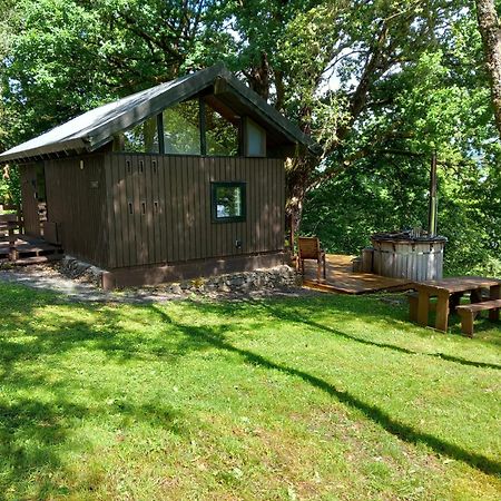 Loch Aweside Forest Cabins Dalavich Exteriör bild