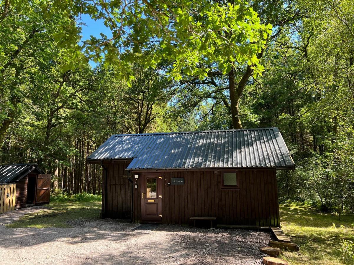 Loch Aweside Forest Cabins Dalavich Exteriör bild