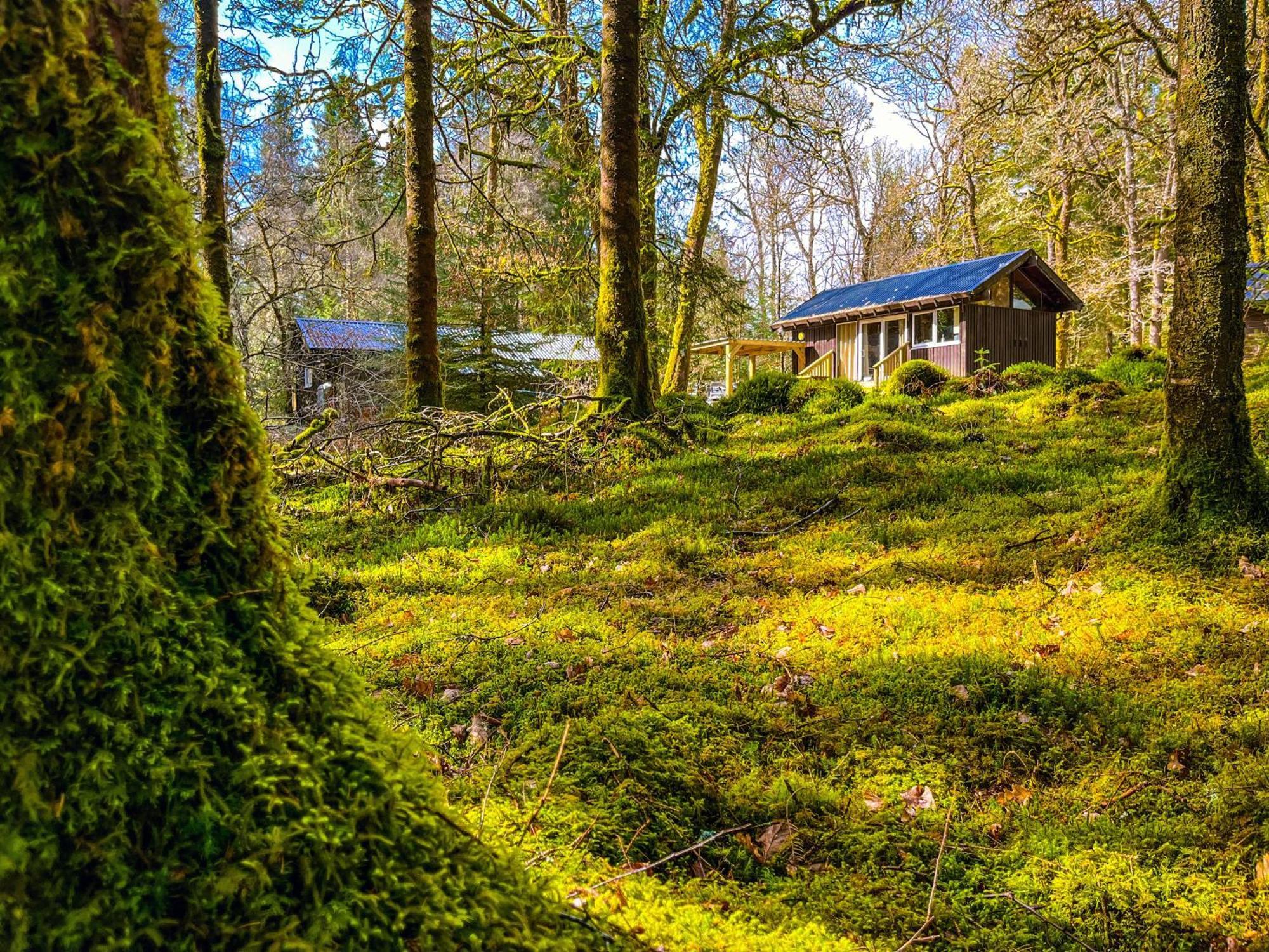Loch Aweside Forest Cabins Dalavich Rum bild
